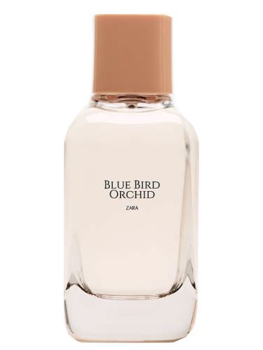 blue bird orchid zara perfume dupe|zara wonder rose dupes.